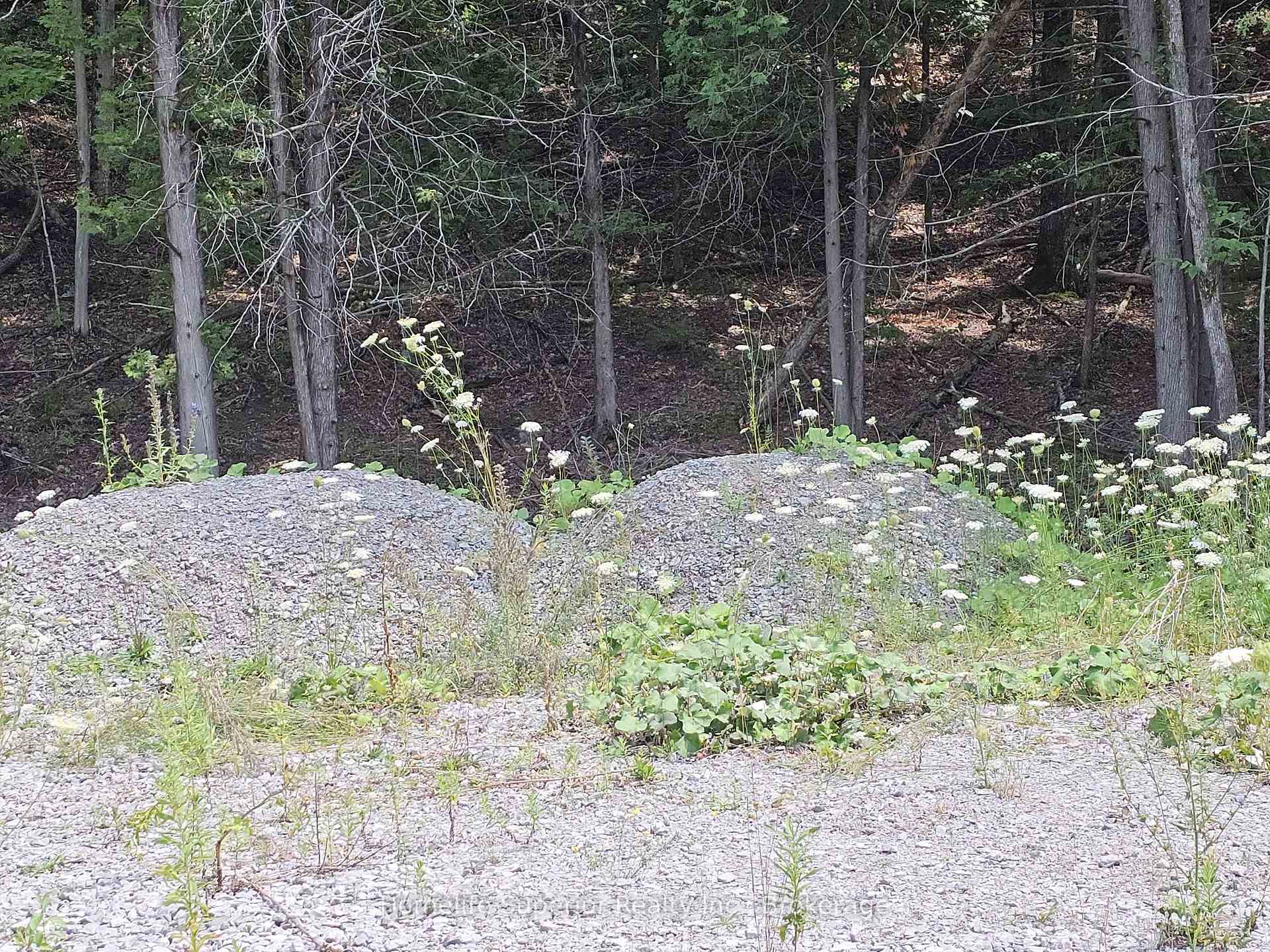 Photo 9 of 1532 O'Hara Road, Madoc — HOMEH