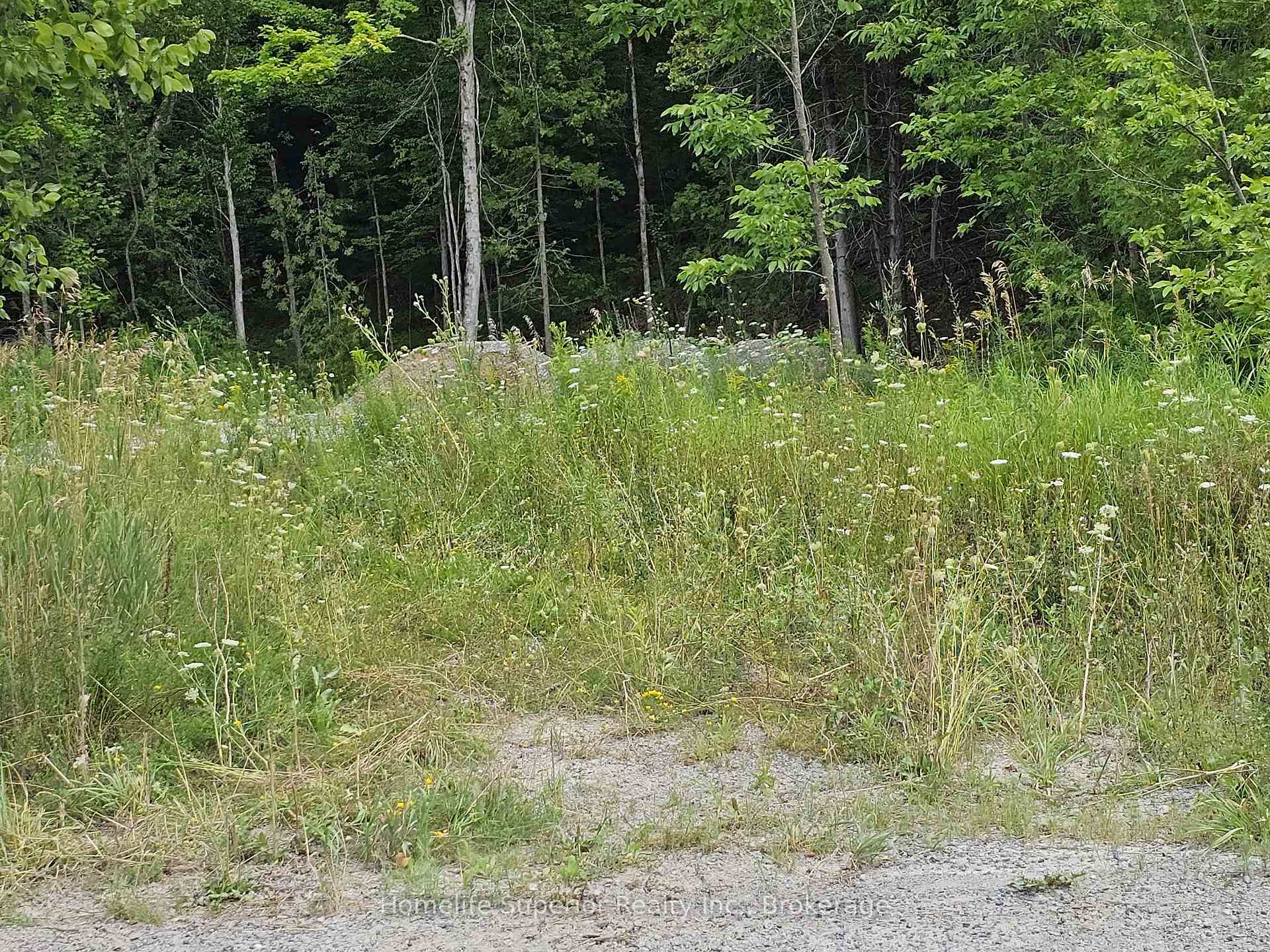 Photo 10 of 1532 O'Hara Road, Madoc — HOMEH