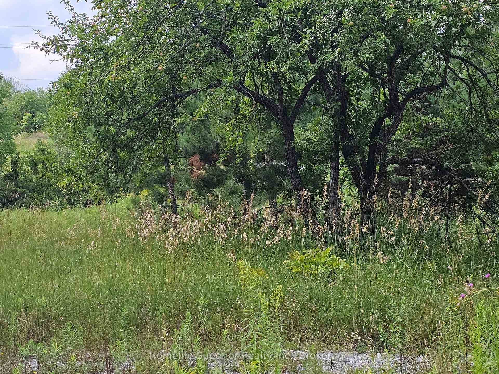 Photo 11 of 1532 O'Hara Road, Madoc — HOMEH