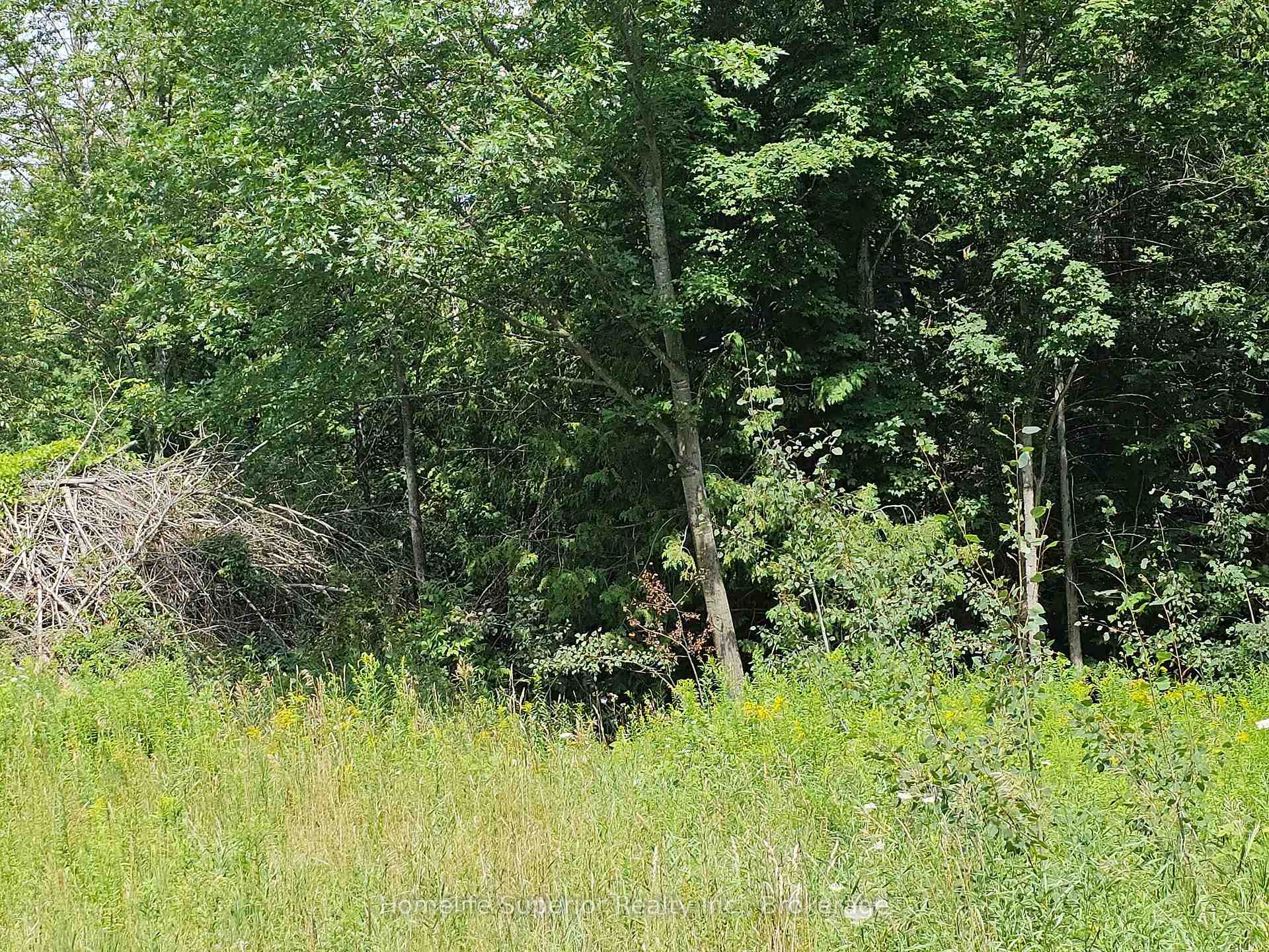 Photo 12 of 1532 O'Hara Road, Madoc — HOMEH