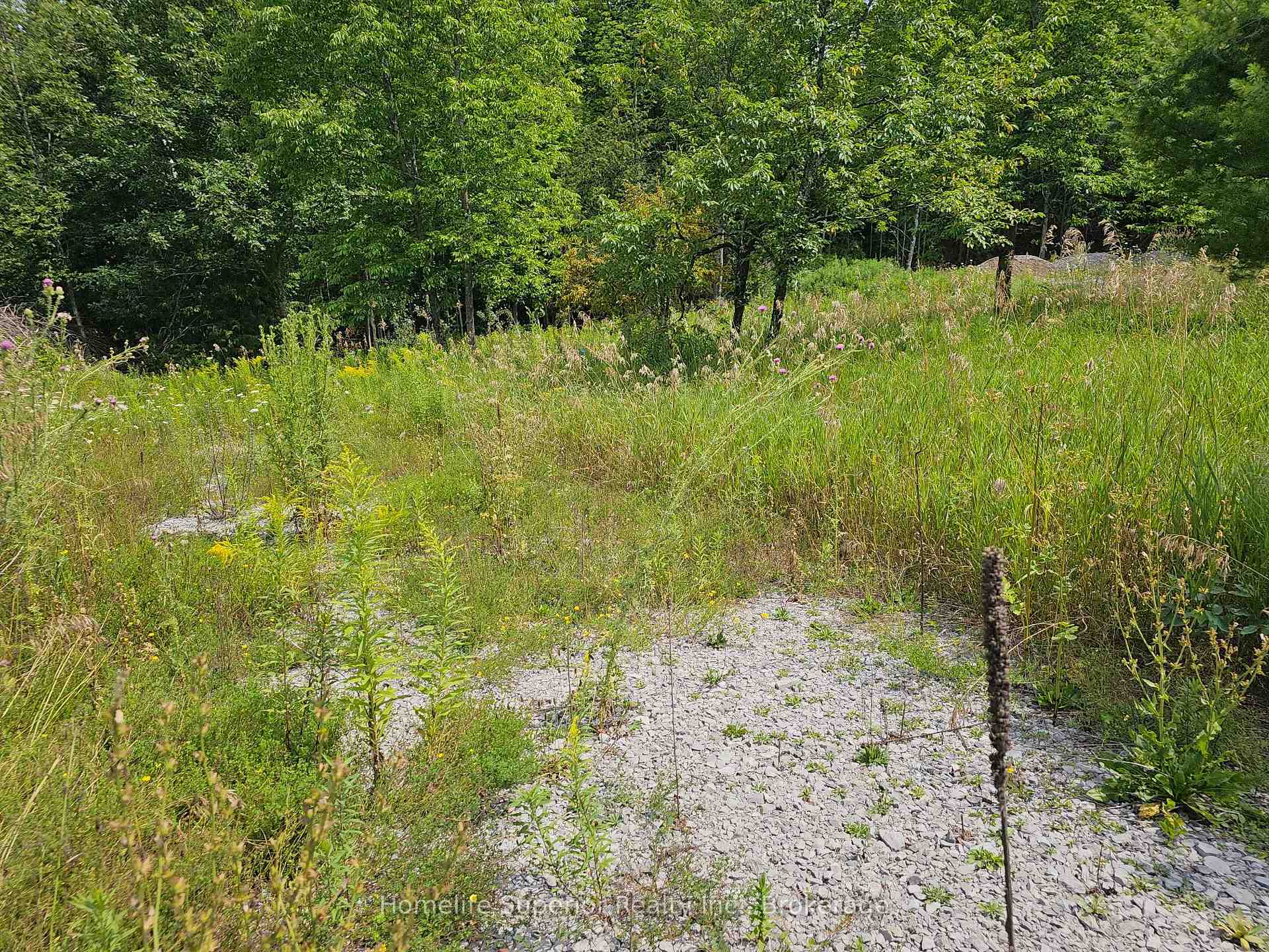 Photo 13 of 1532 O'Hara Road, Madoc — HOMEH