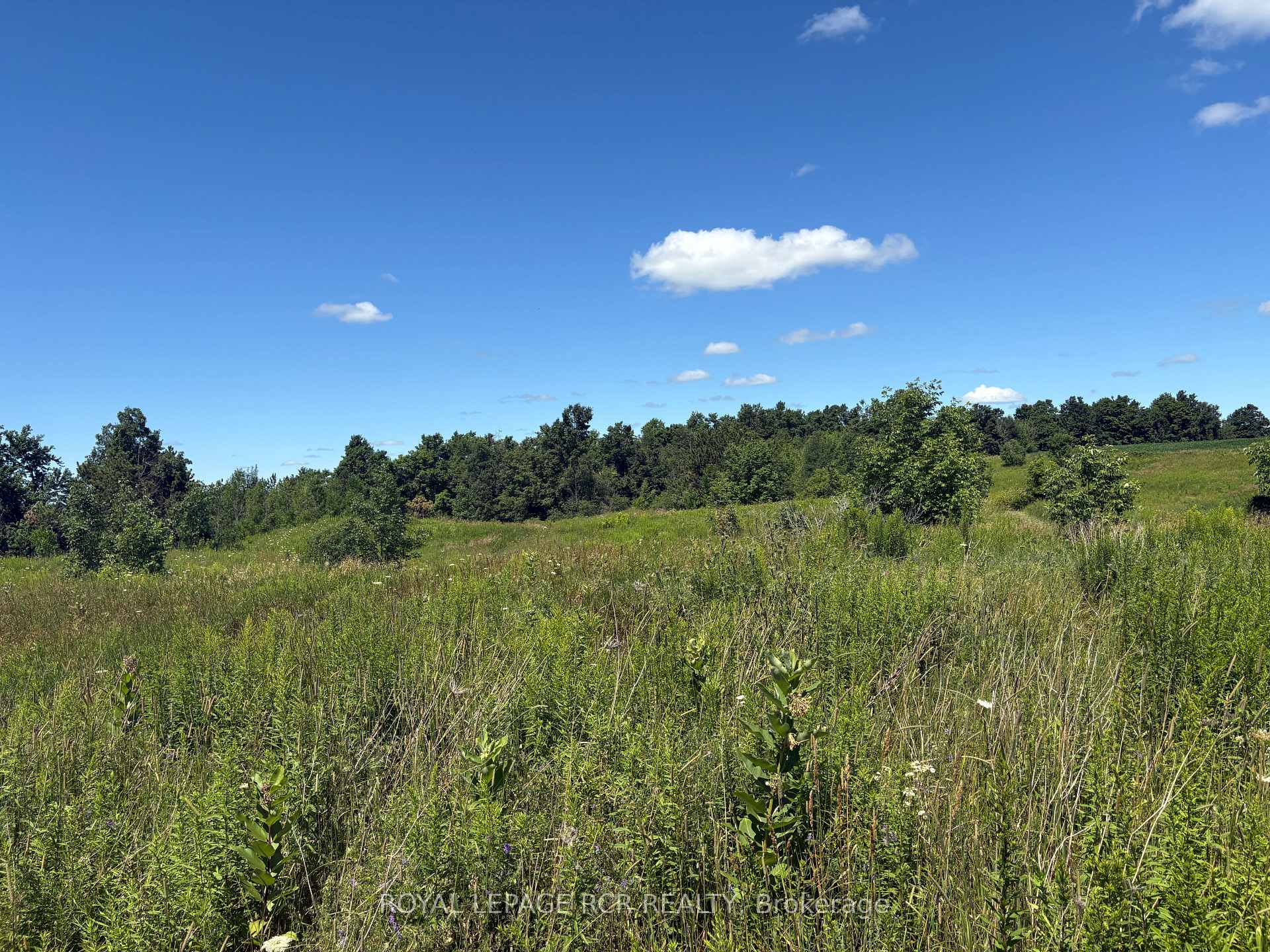Photo 2 of Pt2 Lt29 2nd Line, Amaranth, Rural Amaranth — HOMEH