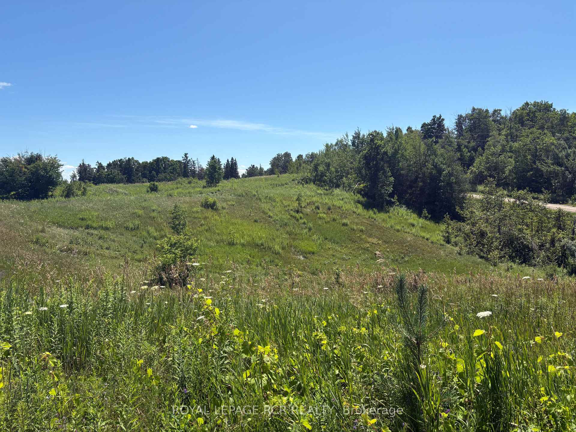 Photo 11 of Pt2 Lt29 2nd Line, Amaranth, Rural Amaranth — HOMEH