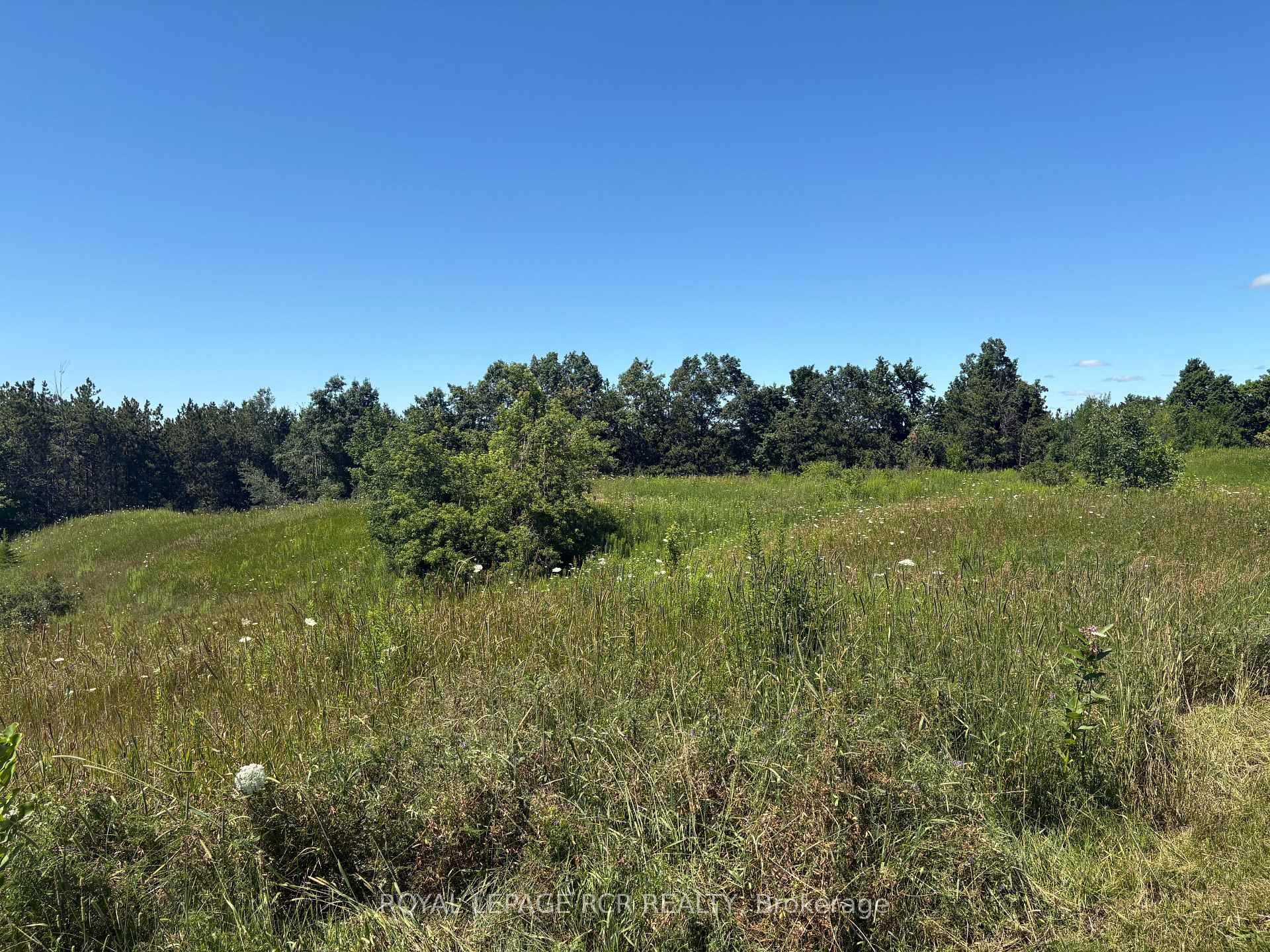 Photo 19 of Pt2 Lt29 2nd Line, Amaranth, Rural Amaranth — HOMEH