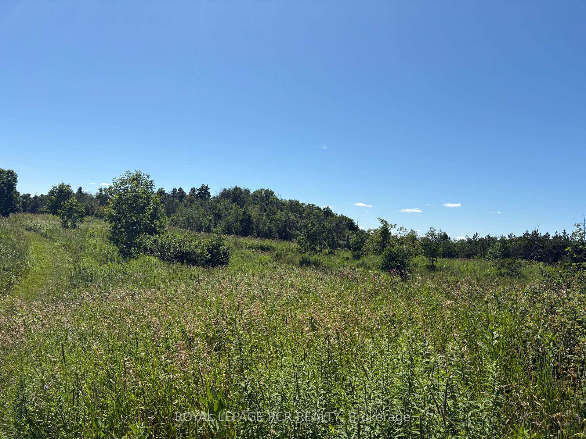 Photo 23 of Pt2 Lt29 2nd Line, Amaranth, Rural Amaranth — HOMEH