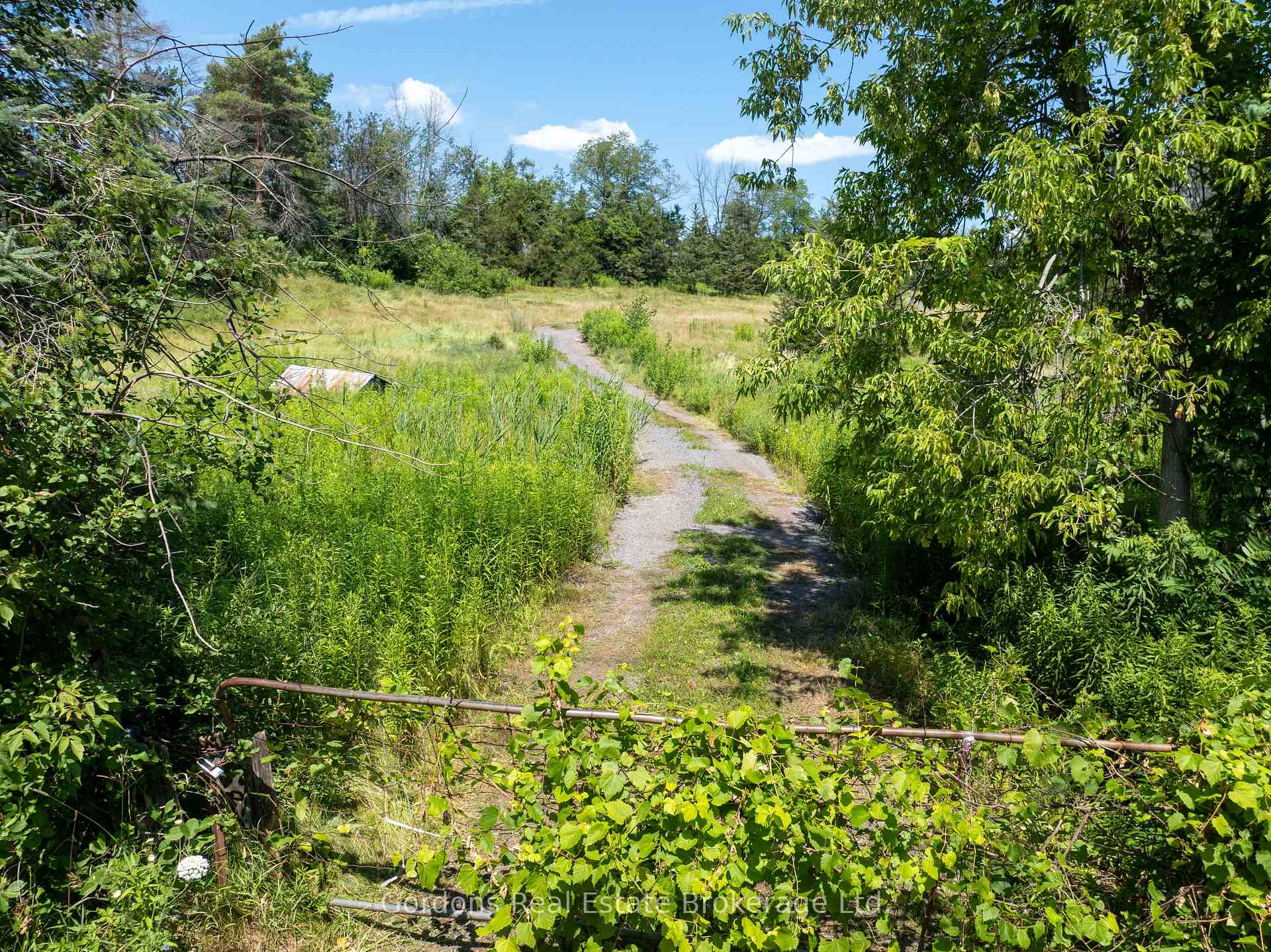 Photo 18 of 137 Mudcat Road, Belleville, Thurlow Ward — HOMEH