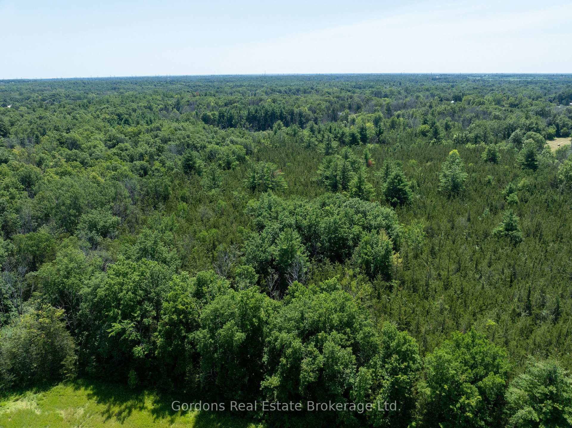 Photo 25 of 137 Mudcat Road, Belleville, Thurlow Ward — HOMEH