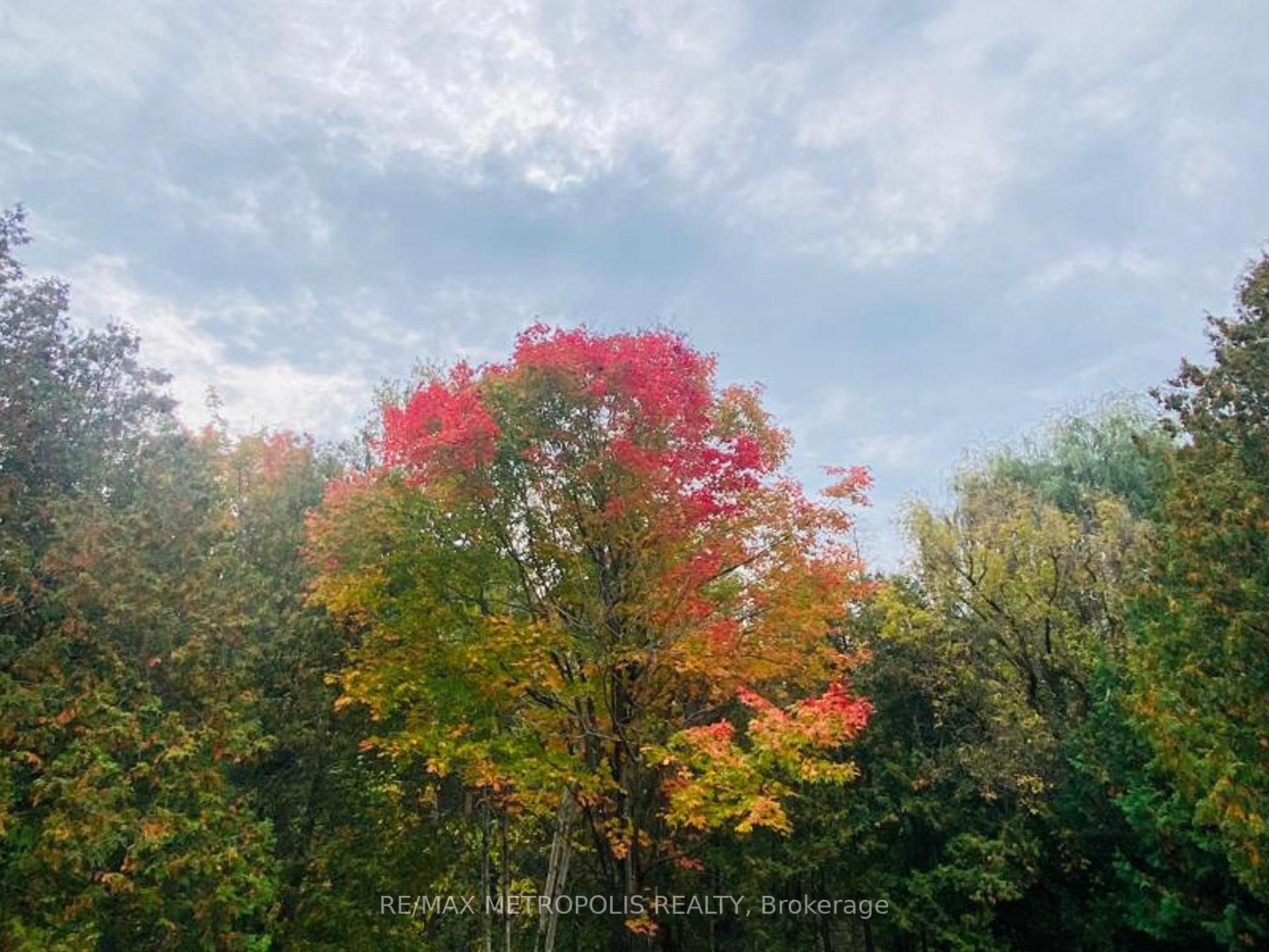 Photo 47 of 1000 Elgin Street, Newmarket, Huron Heights-Leslie Valley — HOMEH
