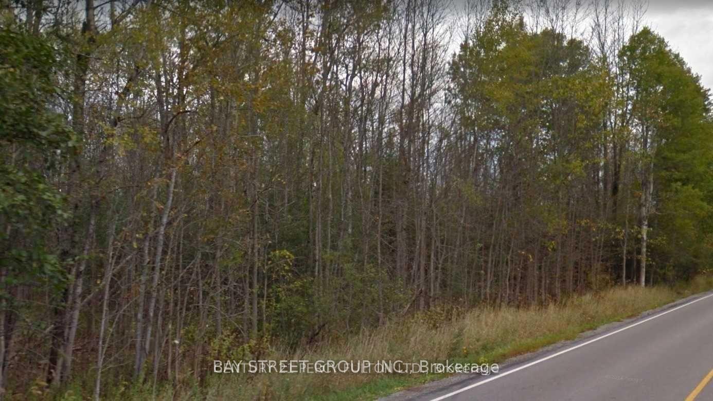 Photo 4 of Lot 18 Weir's Side Road, Georgina, Baldwin — HOMEH