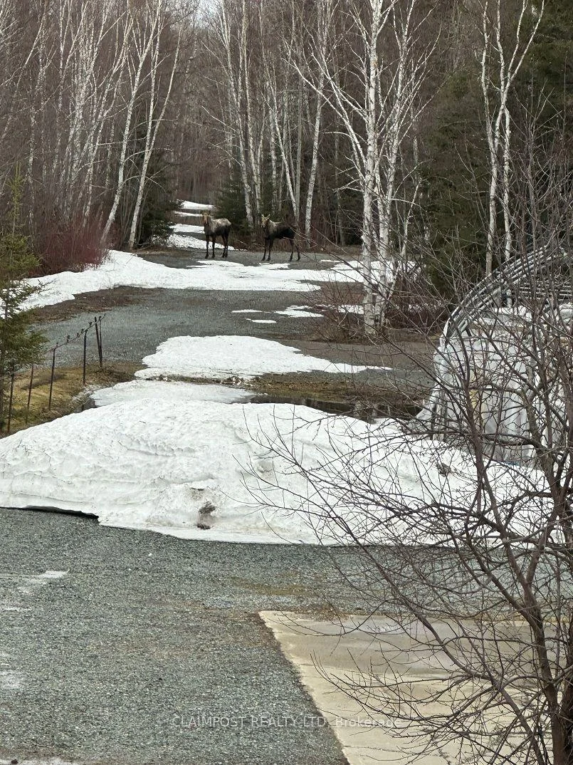 Photo 52 of 2814 Dalton Road, Timmins, TS - Dalton — HOMEH