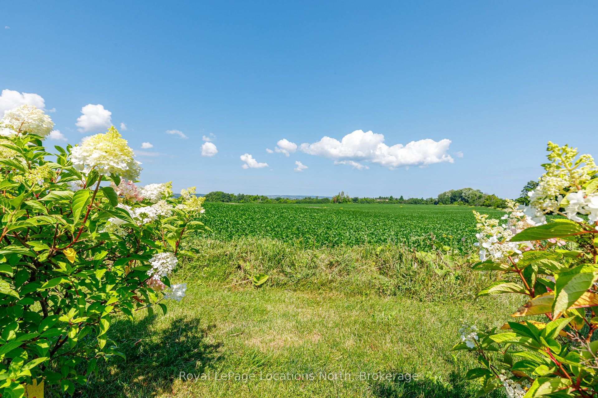 Photo 40 of 728099 21 Side Road, Blue Mountains — HOMEH