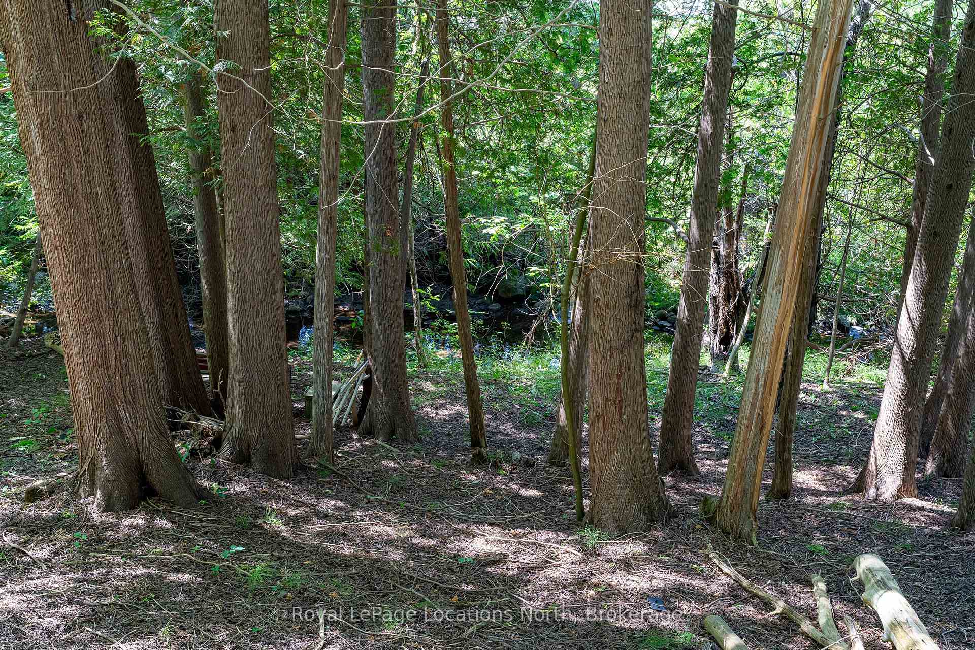 Photo 68 of 8081 Poplar Side Road, Clearview, Rural Clearview — HOMEH