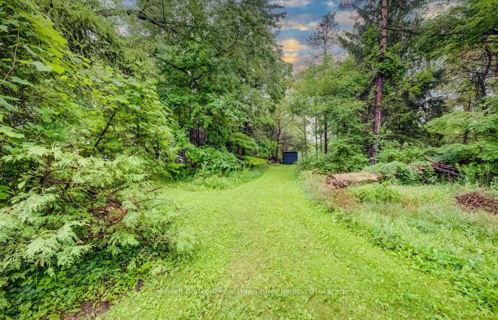 Photo 45 of 388 Bruce Road 2, Brockton — HOMEH