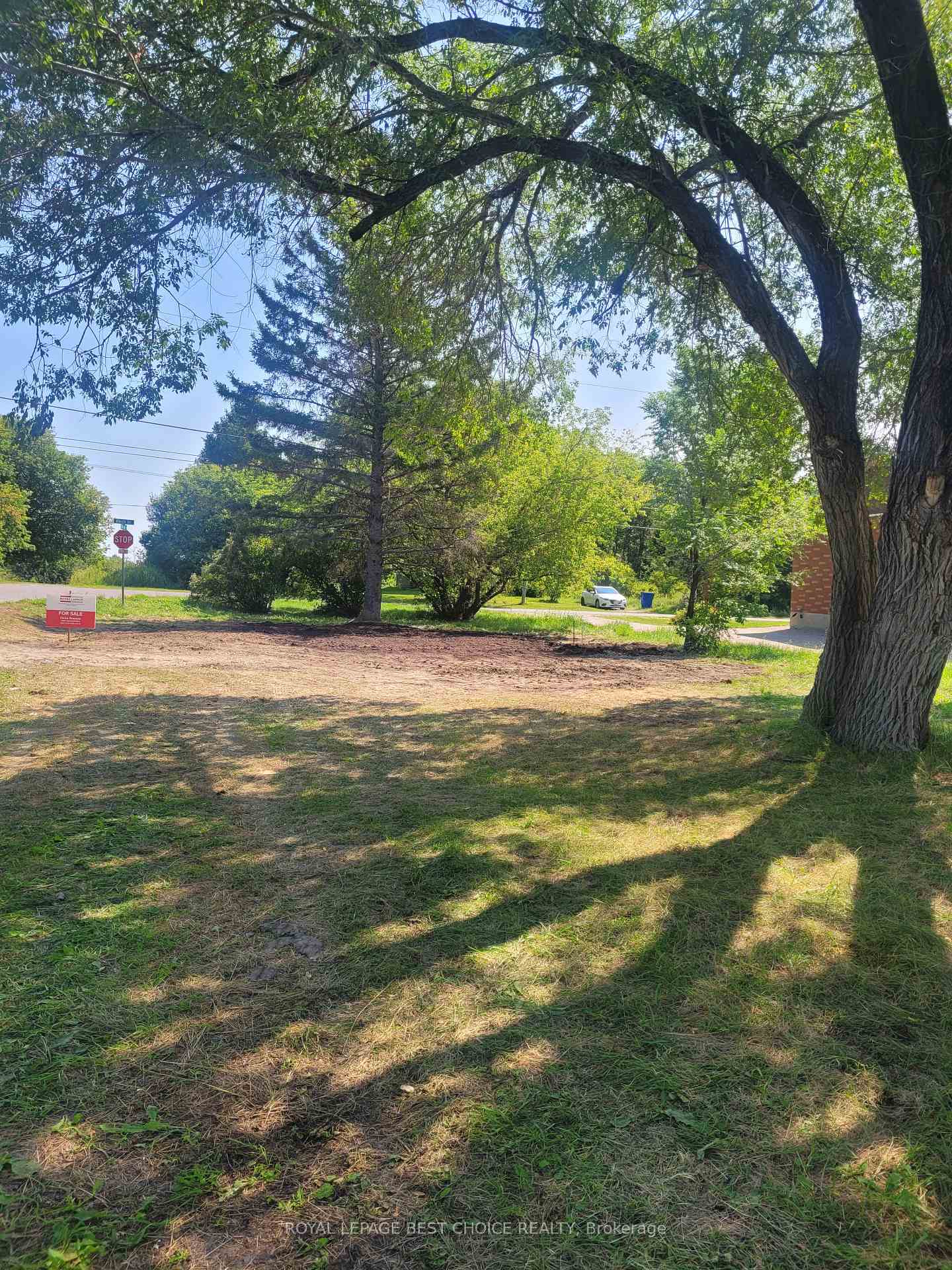 Photo of 95 Birch Street