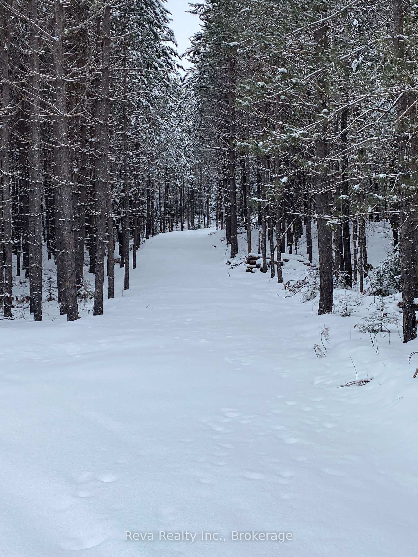 Photo 7 of Snake Rapids Road, Addington Highlands, Addington Highlands — HOMEH