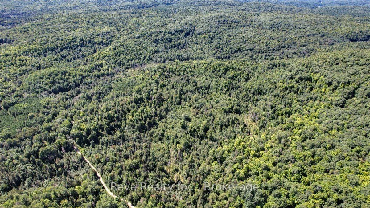 Photo 16 of Snake Rapids Road, Addington Highlands, Addington Highlands — HOMEH