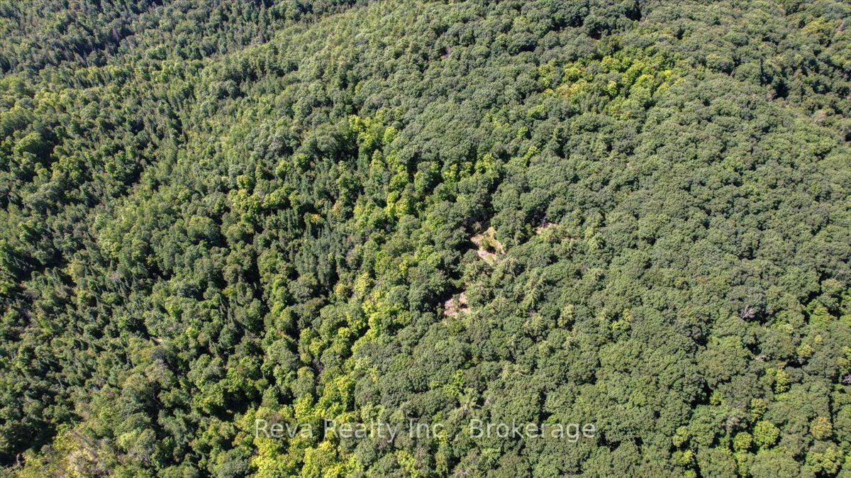 Photo 17 of Snake Rapids Road, Addington Highlands, Addington Highlands — HOMEH