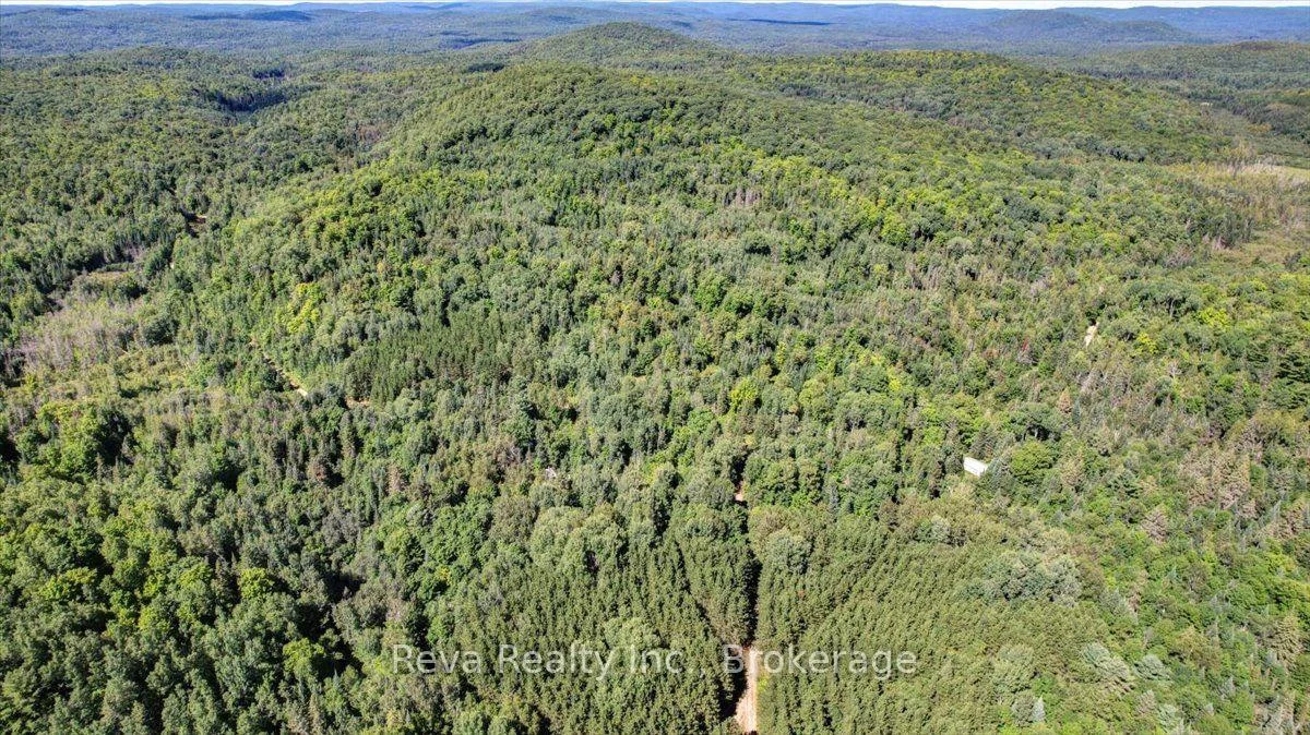 Photo 20 of Snake Rapids Road, Addington Highlands, Addington Highlands — HOMEH