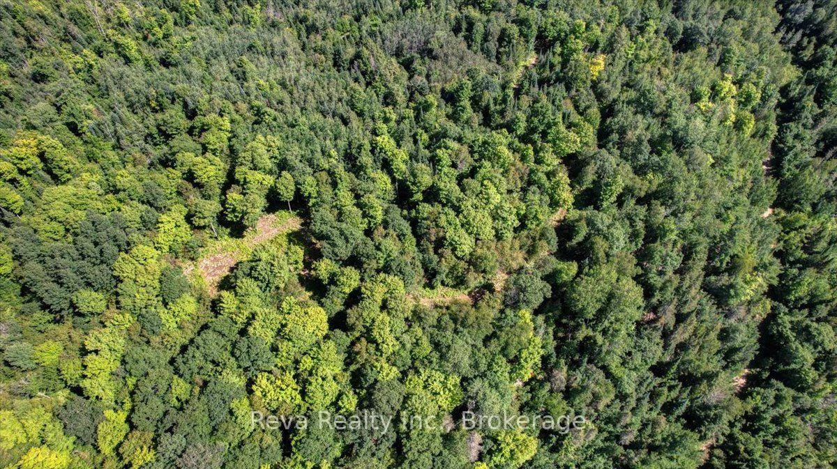 Photo 22 of Snake Rapids Road, Addington Highlands, Addington Highlands — HOMEH