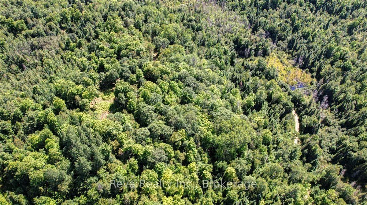 Photo 23 of Snake Rapids Road, Addington Highlands, Addington Highlands — HOMEH