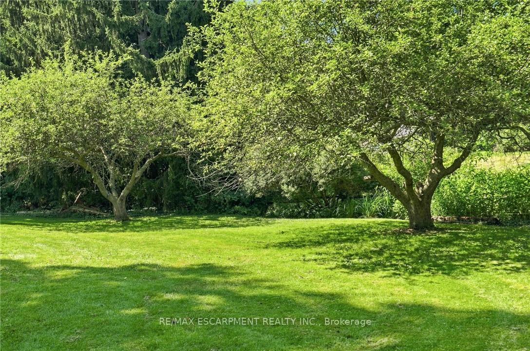 Photo 41 of 376 Moxley Road, Hamilton, Greensville — HOMEH