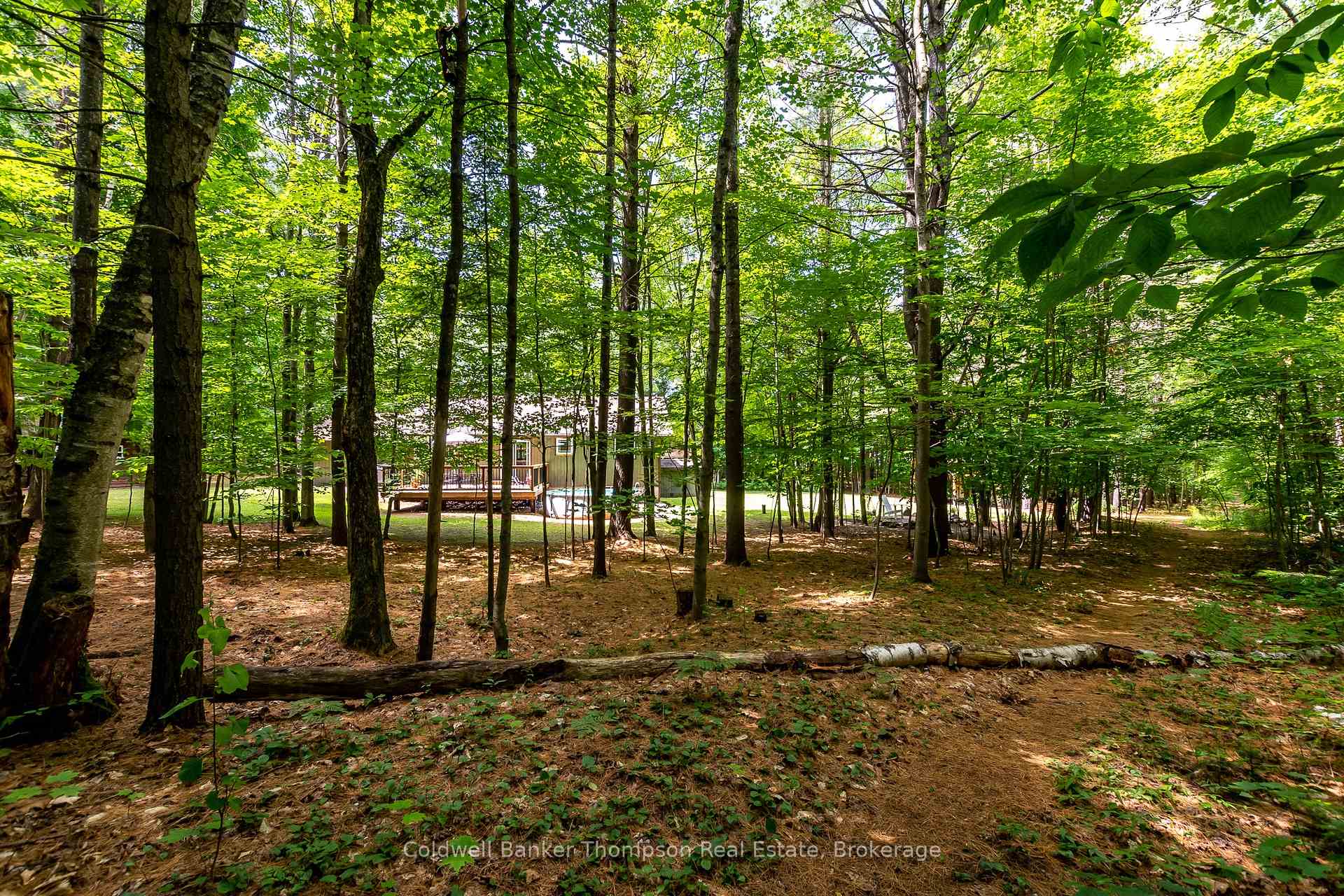 Photo 45 of 549 Greer Road, Huntsville, Stephenson — HOMEH