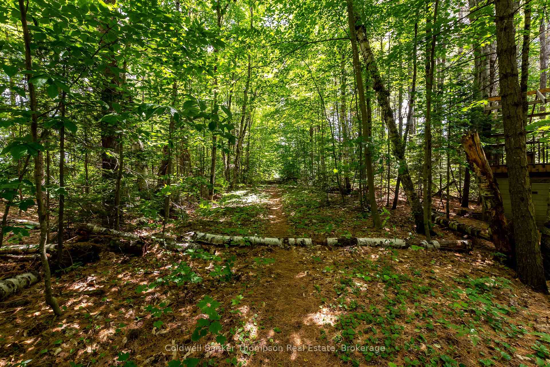 Photo 46 of 549 Greer Road, Huntsville, Stephenson — HOMEH