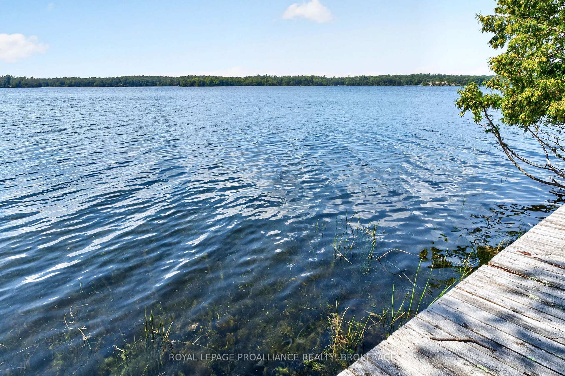 Photo 48 of 37 Barrel Point Road, Rideau Lakes, Rideau Lakes (South Crosby) Twp — HOMEH