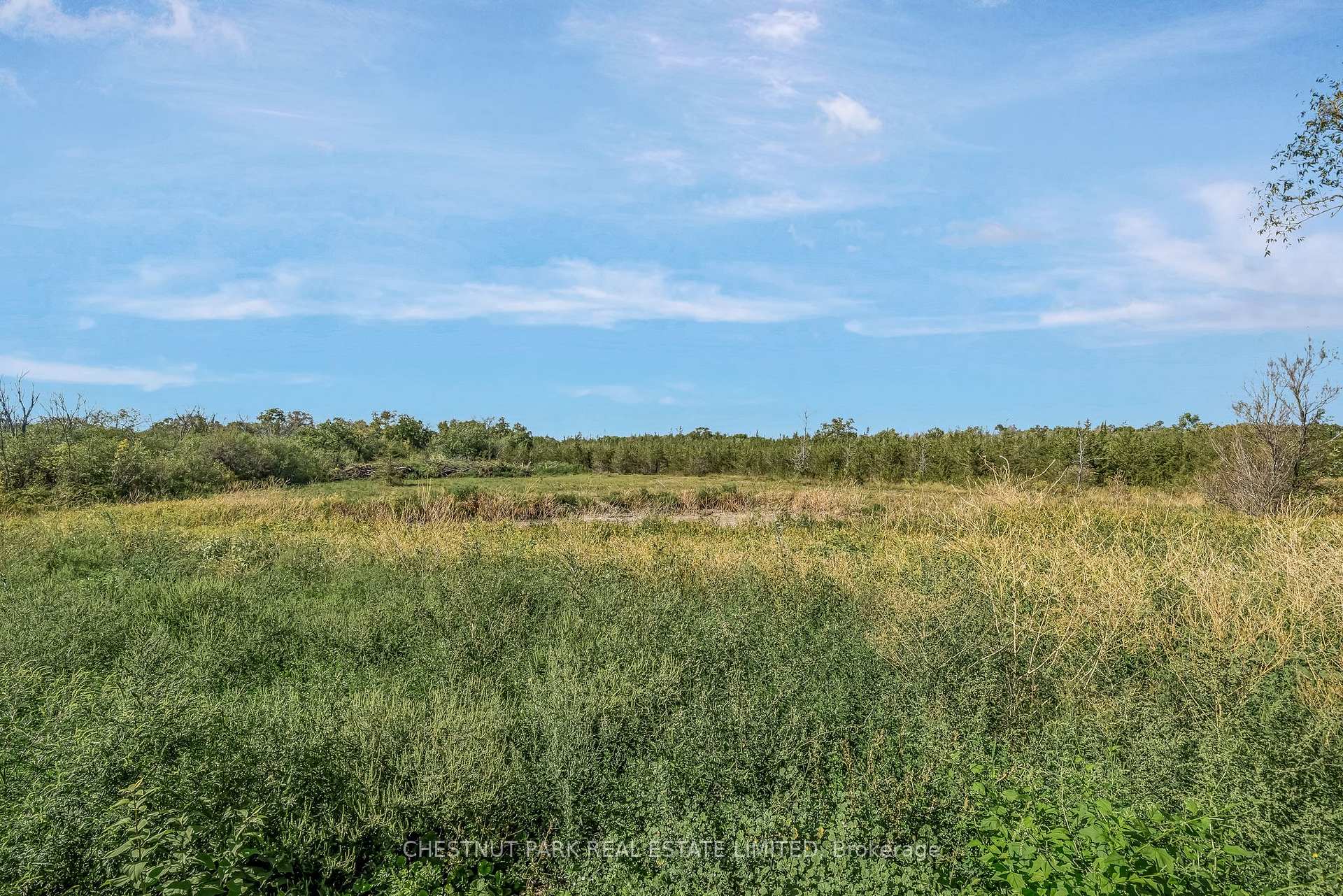 Photo 14 of 1253 Babylon Road, Prince Edward County, South Marysburg Ward — HOMEH