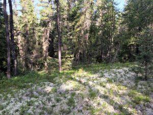 Photo 8 of PCL 22289, Timmins, TM - Outside East — HOMEH