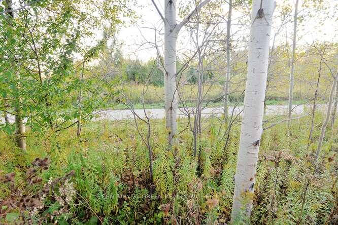 Photo 50 of 150 Winters Way, Shelburne — HOMEH