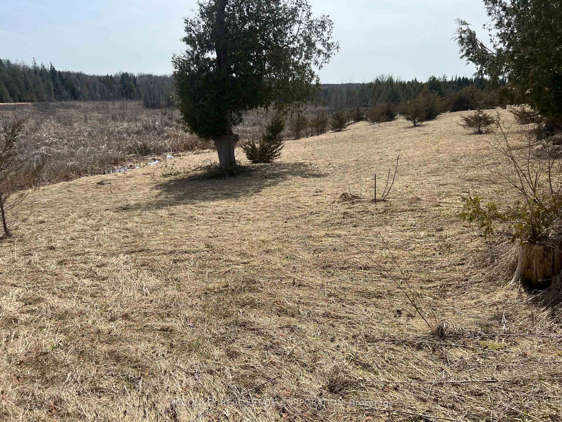 Photo 4 of 00 Concession Road 13 E, Trent Hills, Rural Trent Hills — HOMEH