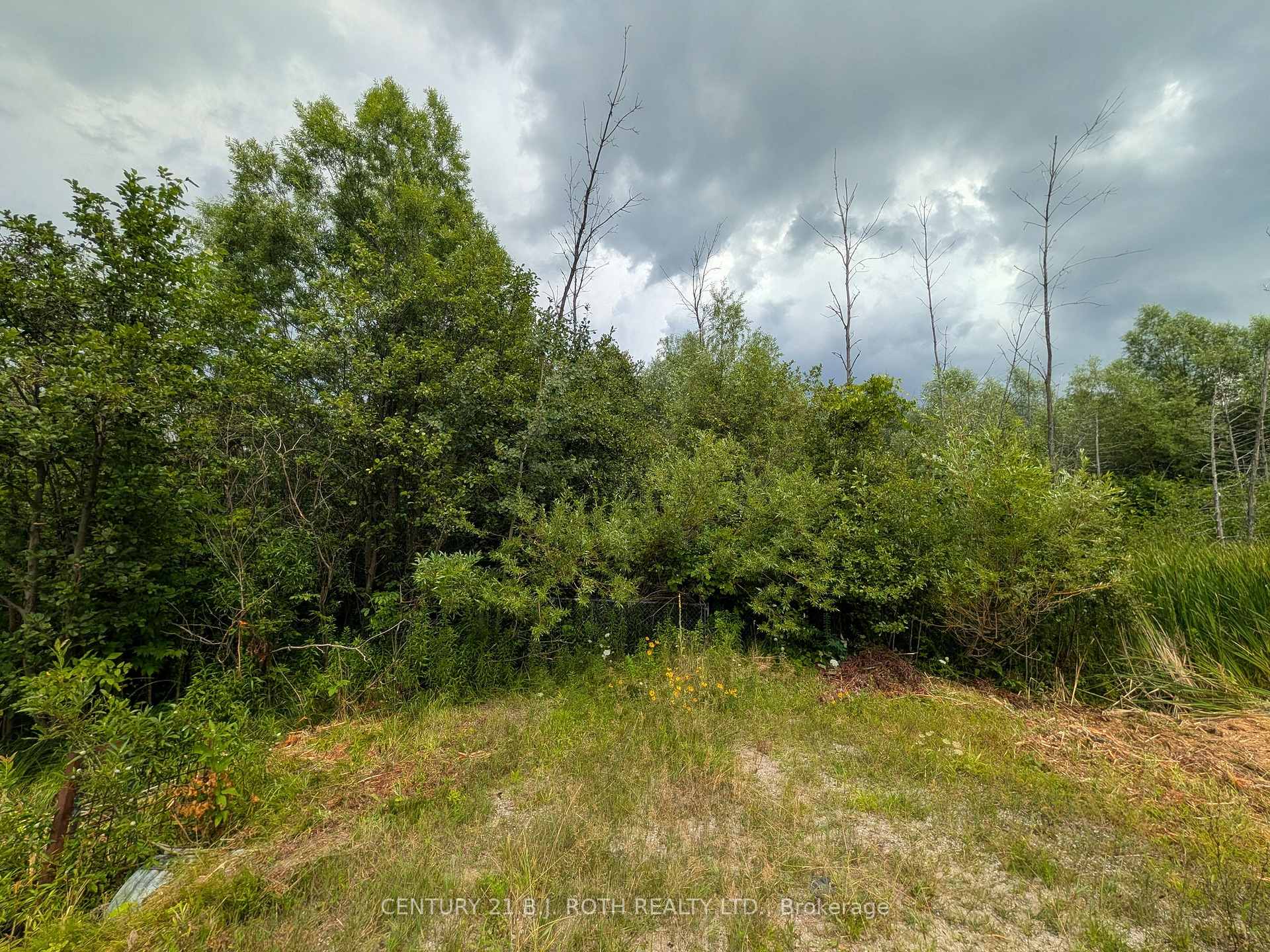 Photo 3 of 2361 George Johnston Road, Springwater, Rural Springwater — HOMEH