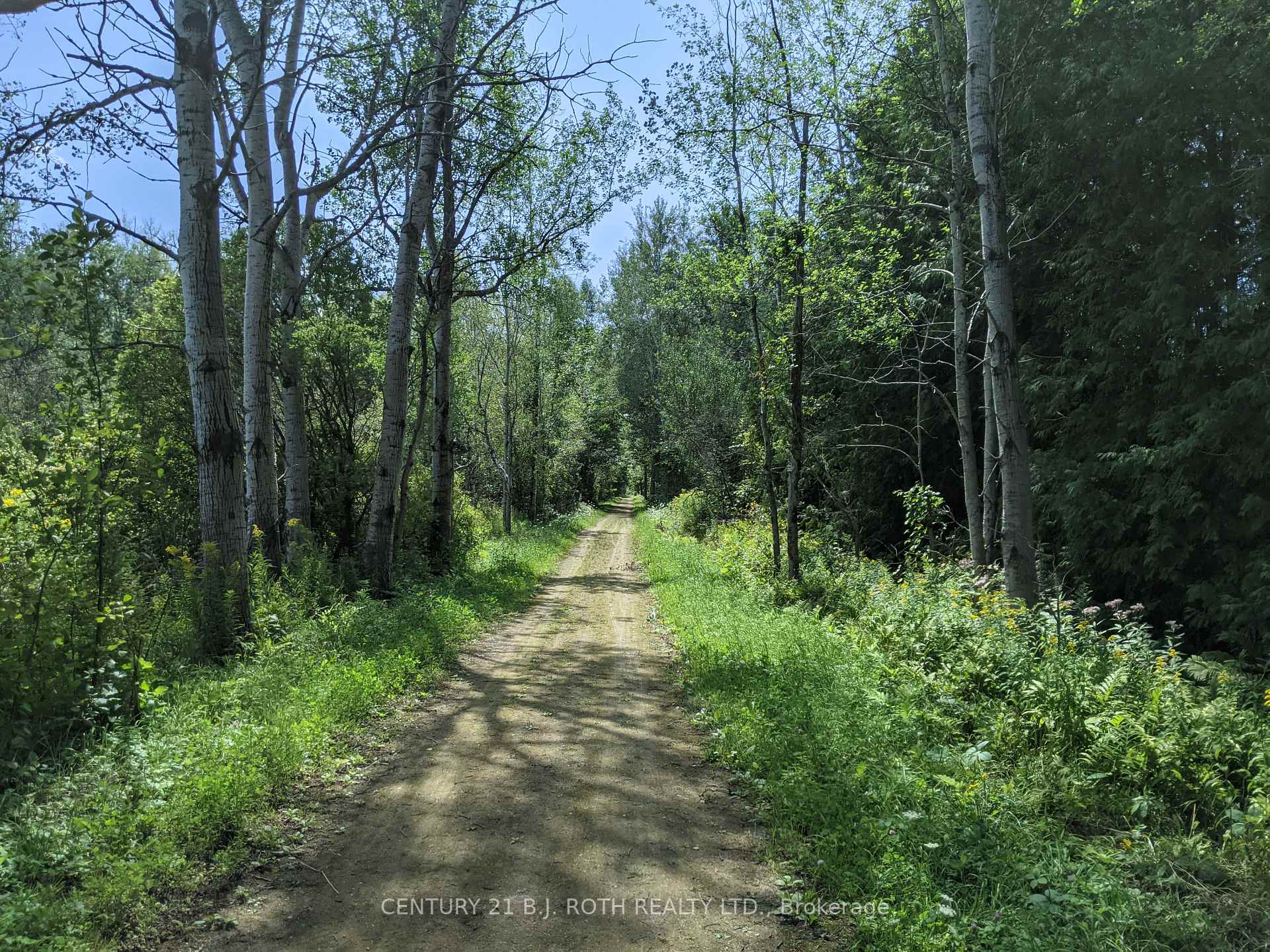 Photo 8 of 2361 George Johnston Road, Springwater, Rural Springwater — HOMEH