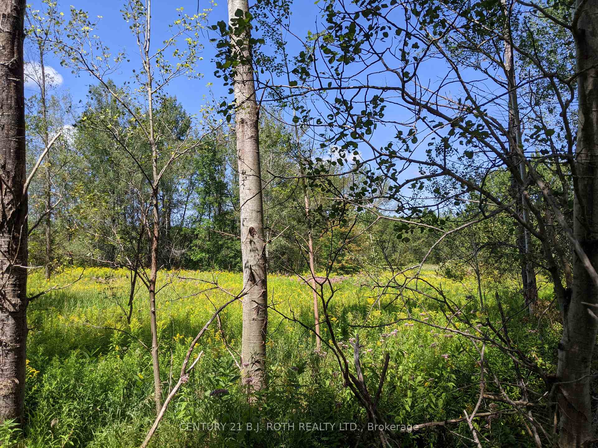 Photo 15 of 2361 George Johnston Road, Springwater, Rural Springwater — HOMEH