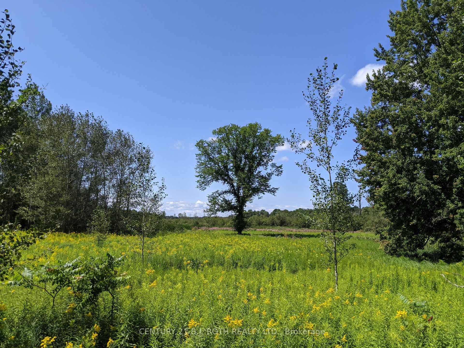 Photo 16 of 2361 George Johnston Road, Springwater, Rural Springwater — HOMEH