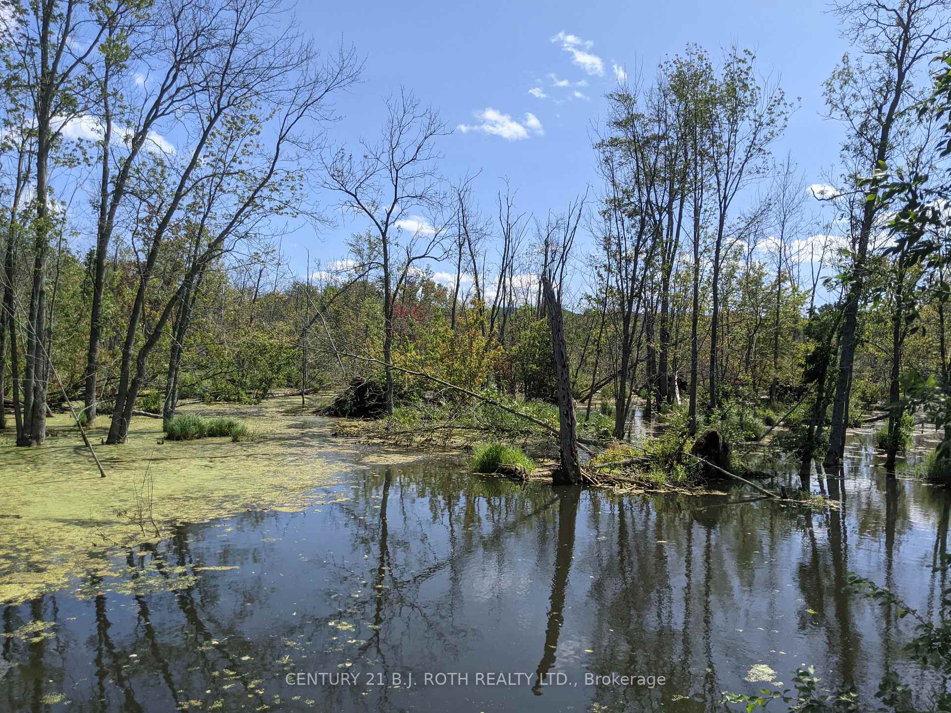 Photo 19 of 2361 George Johnston Road, Springwater, Rural Springwater — HOMEH