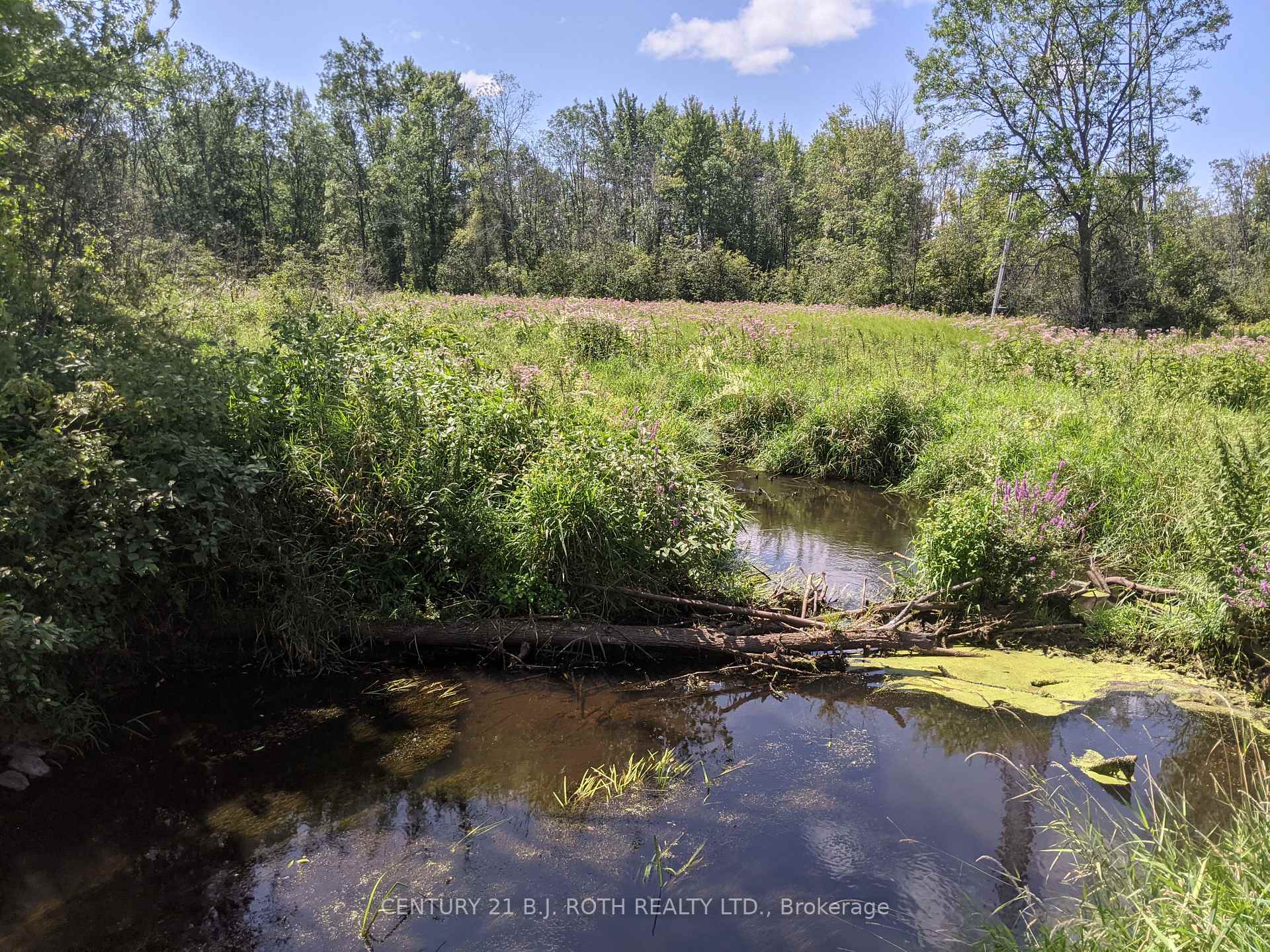 Photo 20 of 2361 George Johnston Road, Springwater, Rural Springwater — HOMEH