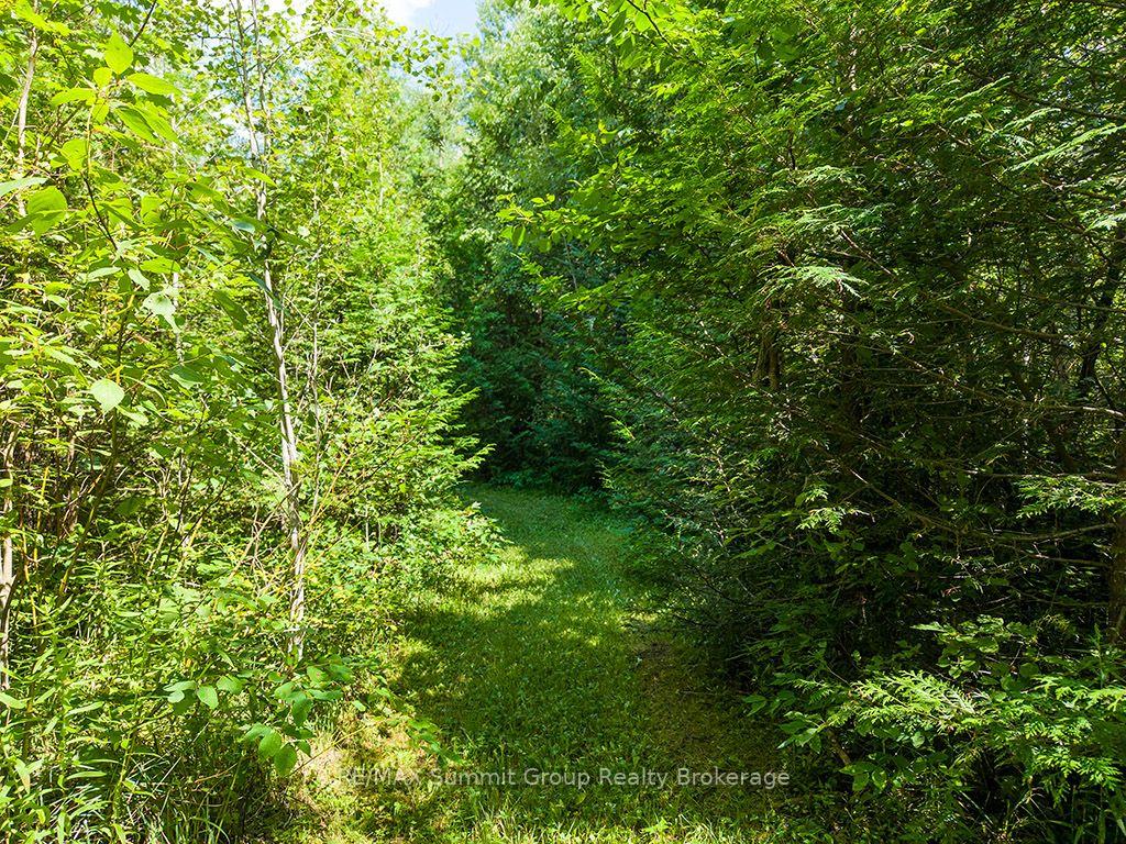 Photo 39 of 413669 Road 41A, Grey Highlands — HOMEH