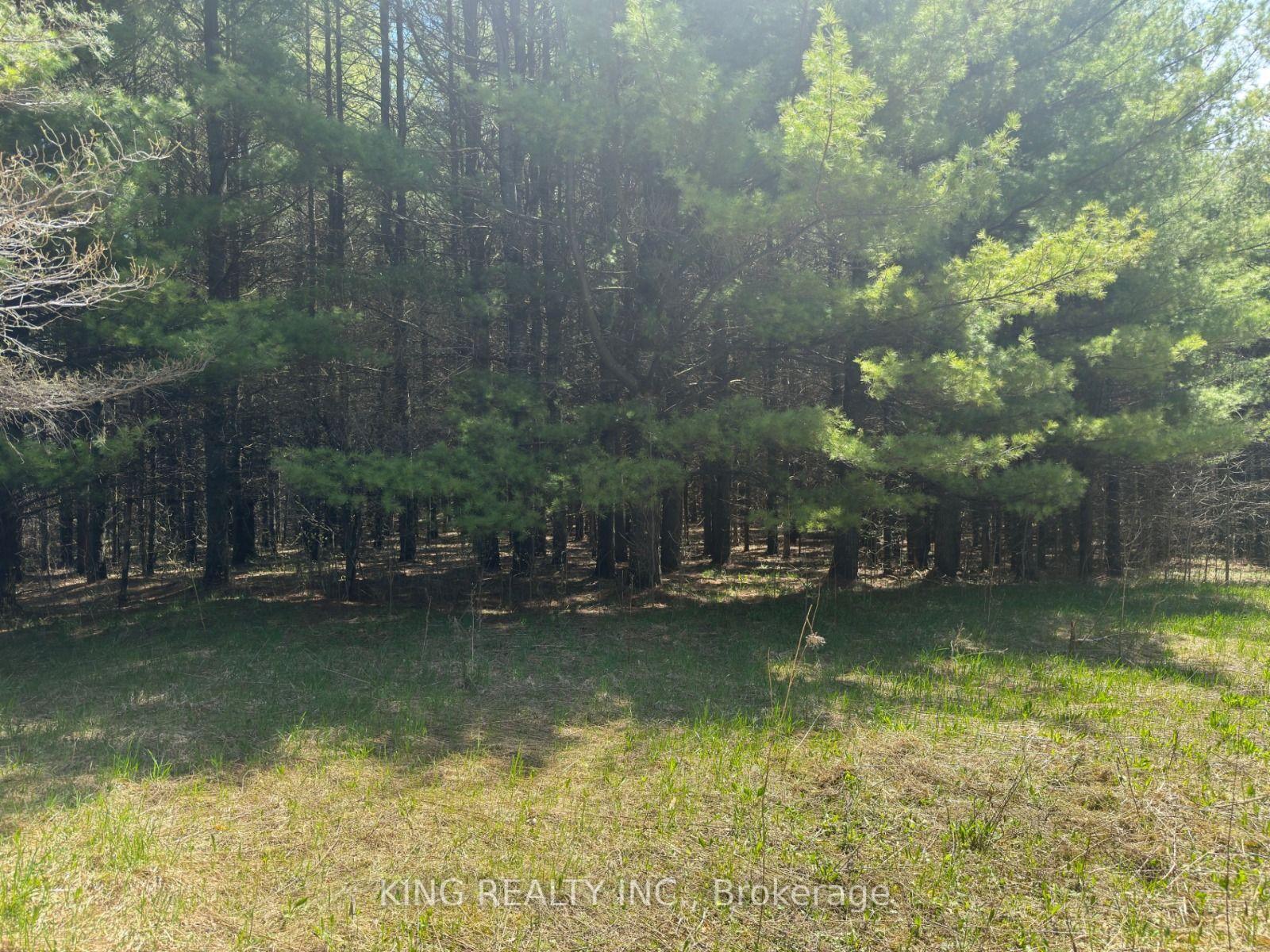 Photo of 6081 Hwy 89, Clifford Road