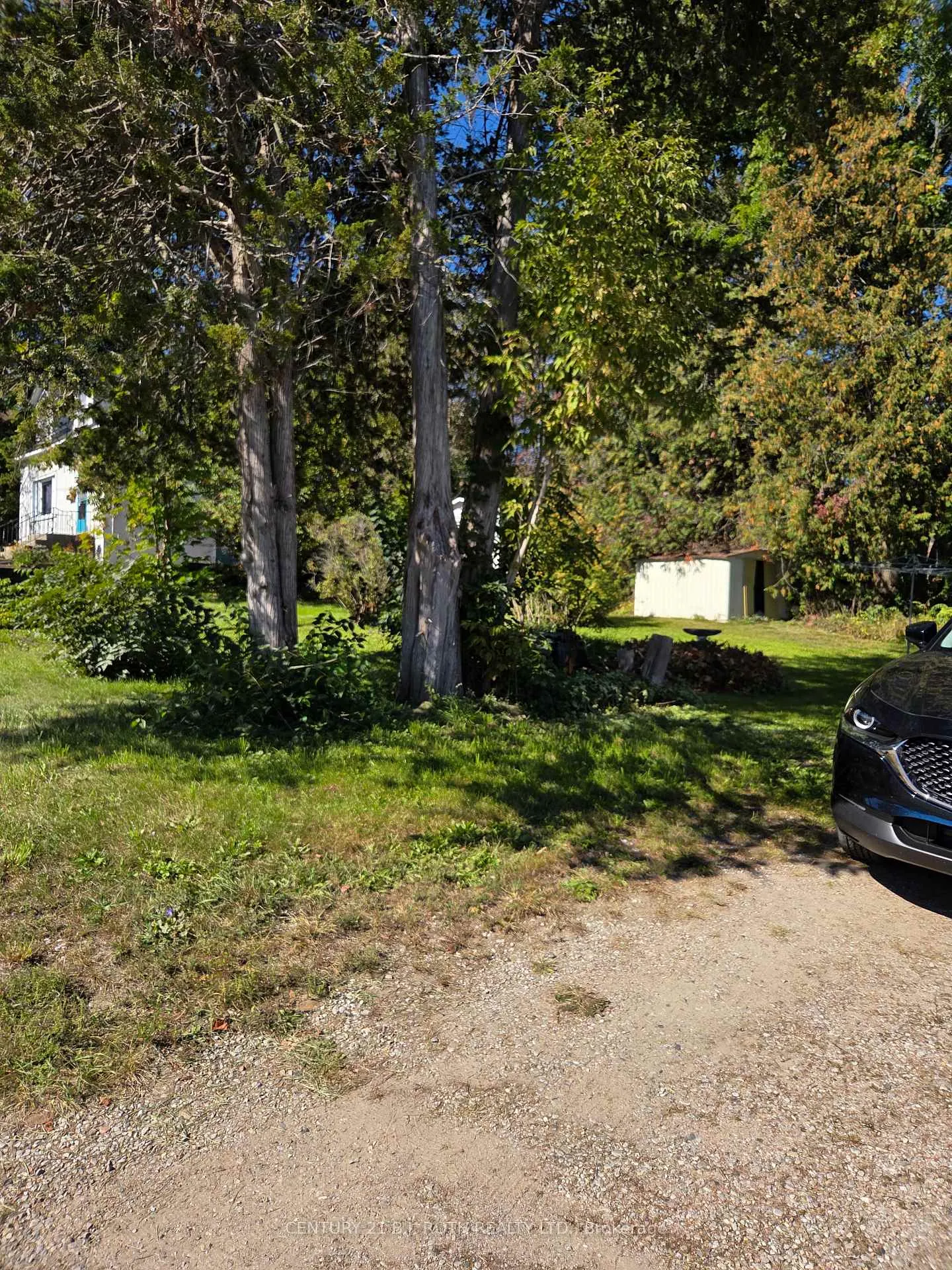 Photo 7 of 79 Frederick Street, Orillia — HOMEH