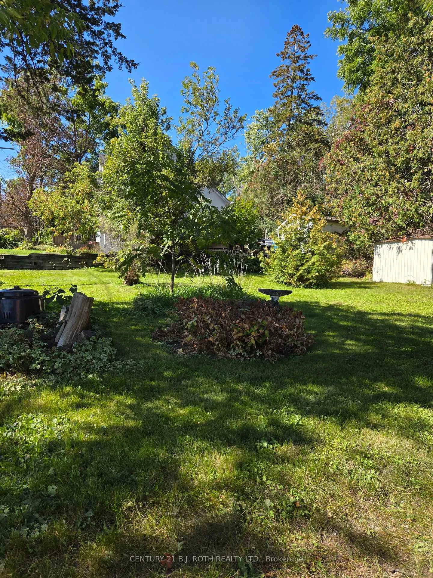 Photo 8 of 79 Frederick Street, Orillia — HOMEH