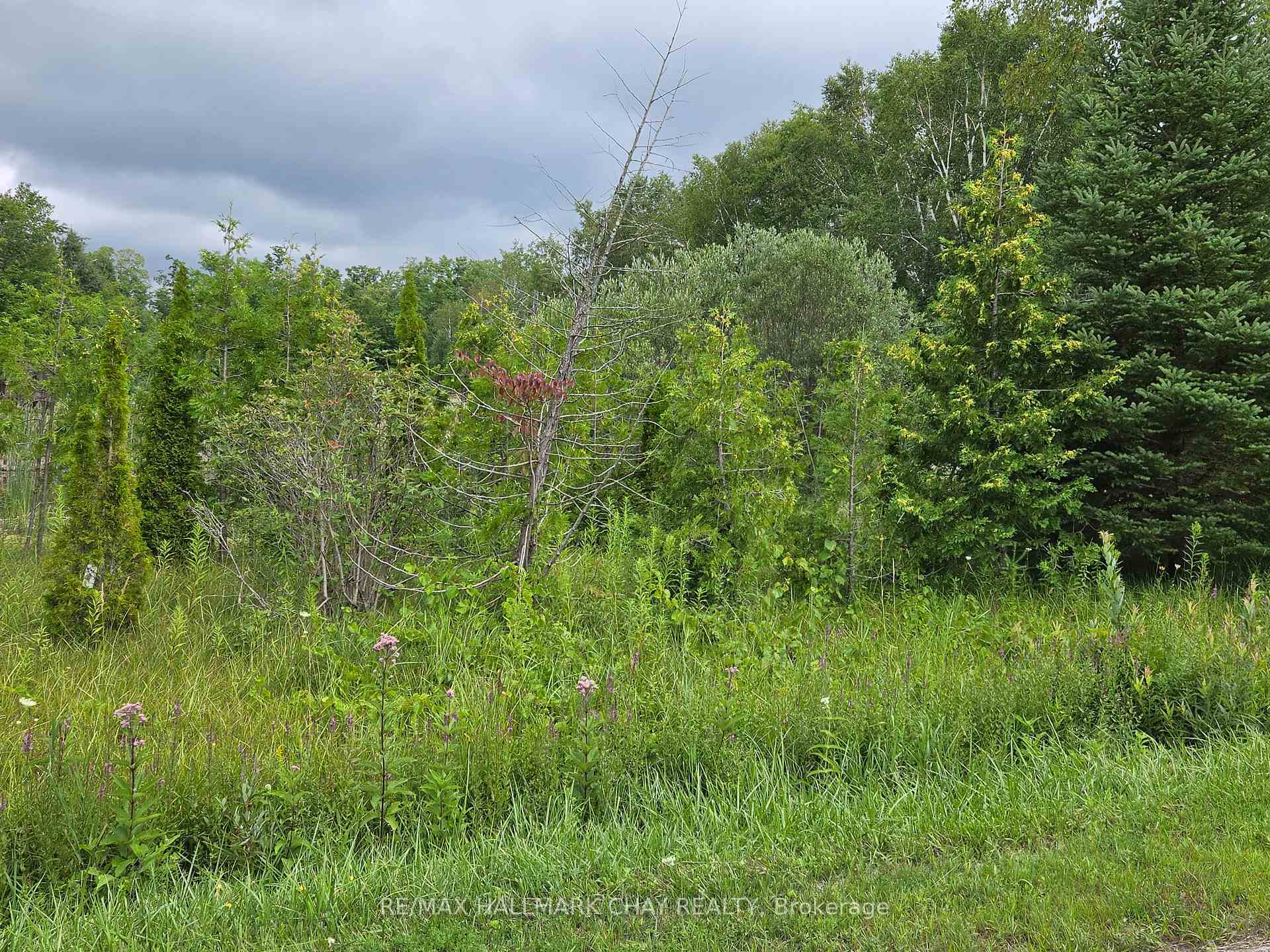 Photo 6 of 1017 Line 8 North, Oro-Medonte, Rural Oro-Medonte — HOMEH