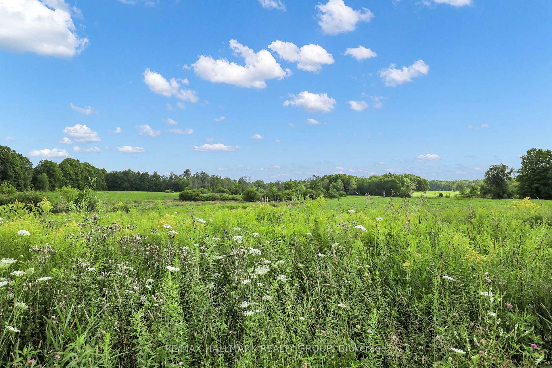 Photo 35 of 165 Knapp Street, Rideau Lakes, Rideau Lakes (South Crosby) Twp — HOMEH