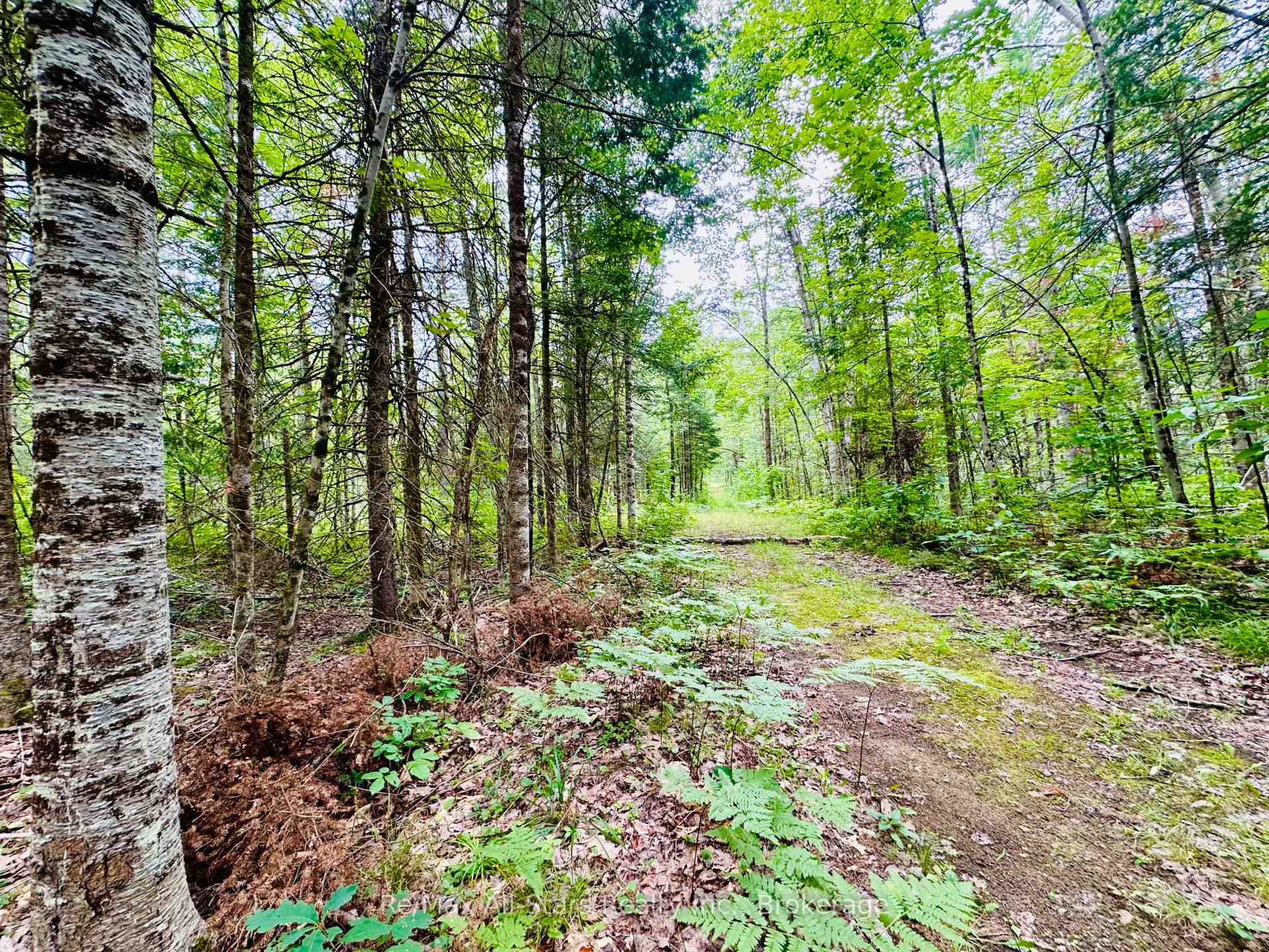 Photo 25 of 7140 Highway 28, North Kawartha — HOMEH
