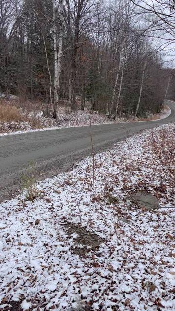 Photo 16 of 843 Royston Road, Ryerson — HOMEH