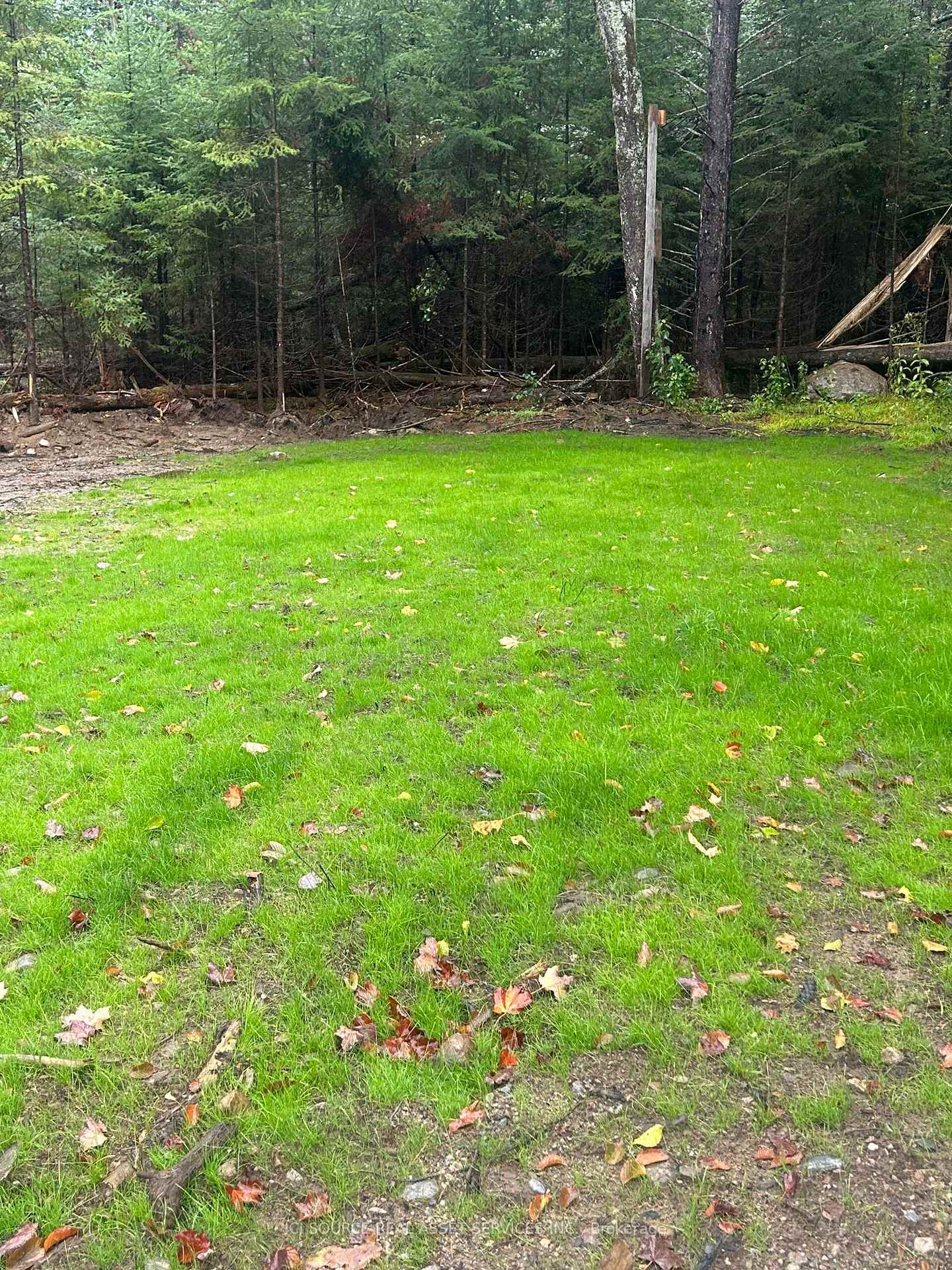 Photo 18 of 843 Royston Road, Ryerson — HOMEH