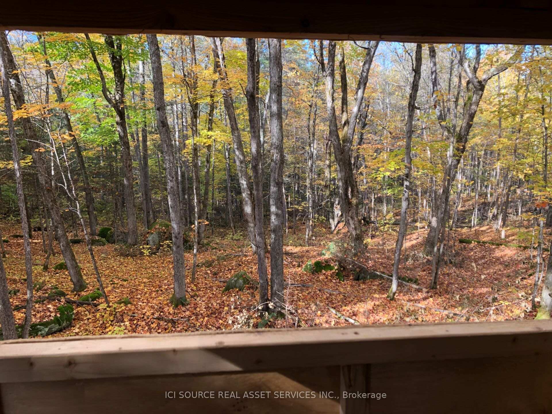 Photo 20 of 843 Royston Road, Ryerson — HOMEH
