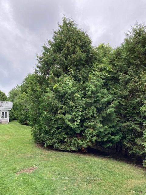 Photo 34 of Unit 131, 55 Trott Boulevard, Collingwood — HOMEH