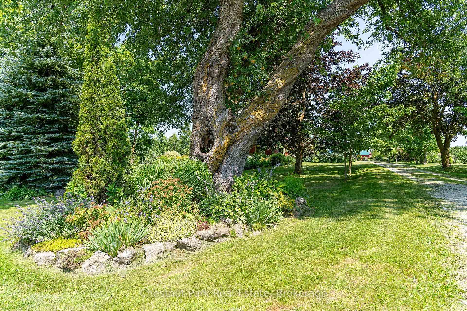 Photo 13 of 678541 Centre Road, Mulmur, Rural Mulmur — HOMEH